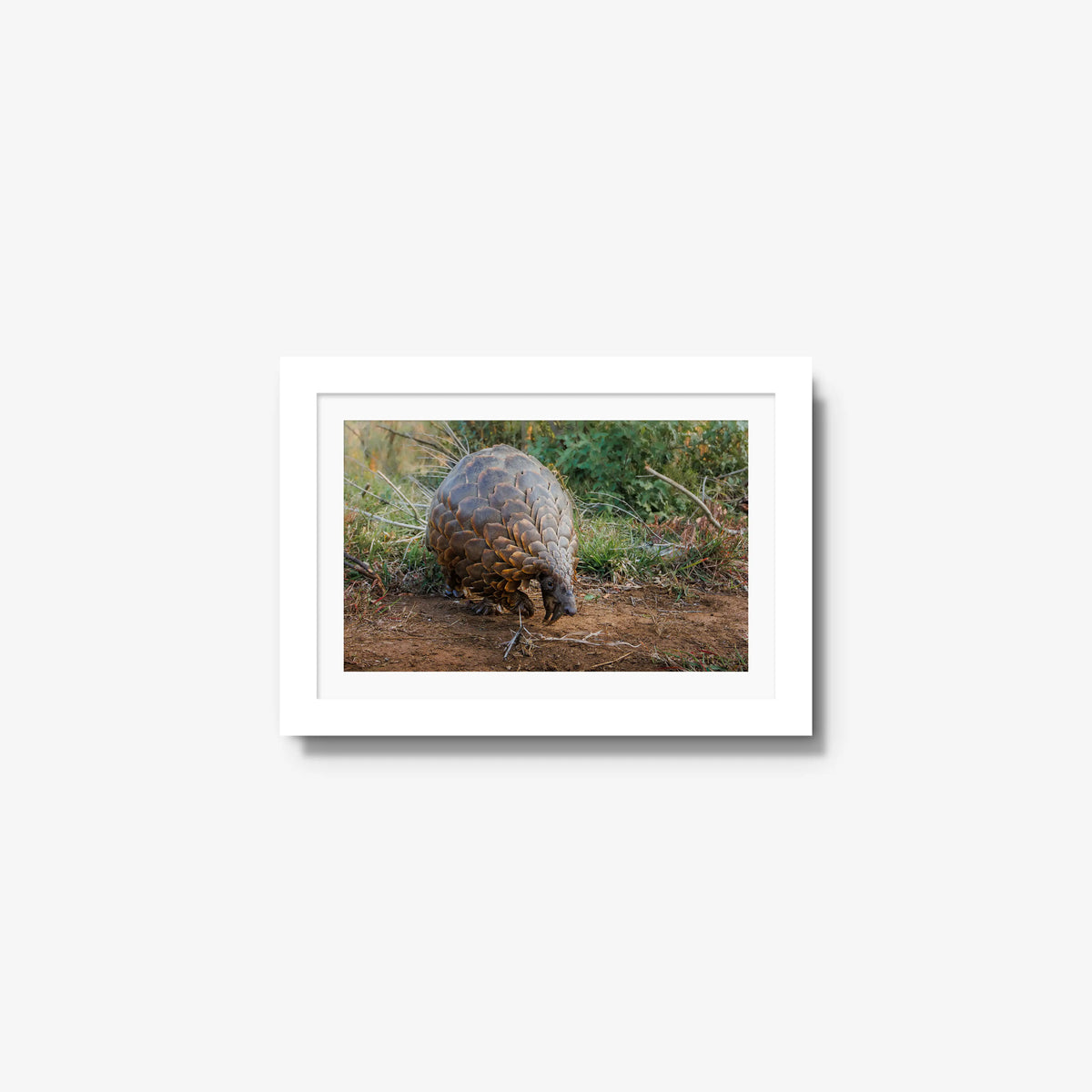 Relic — mini / white / mat