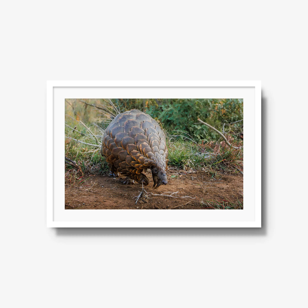 Relic — large / white / mat