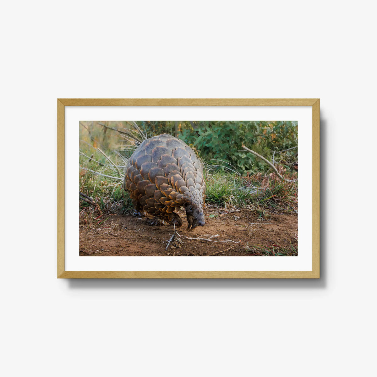 Relic — large / natural / mat