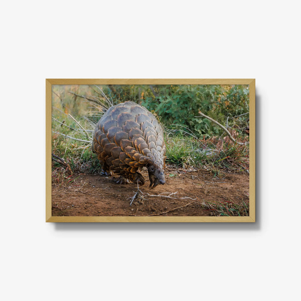 Relic — large / natural / full
