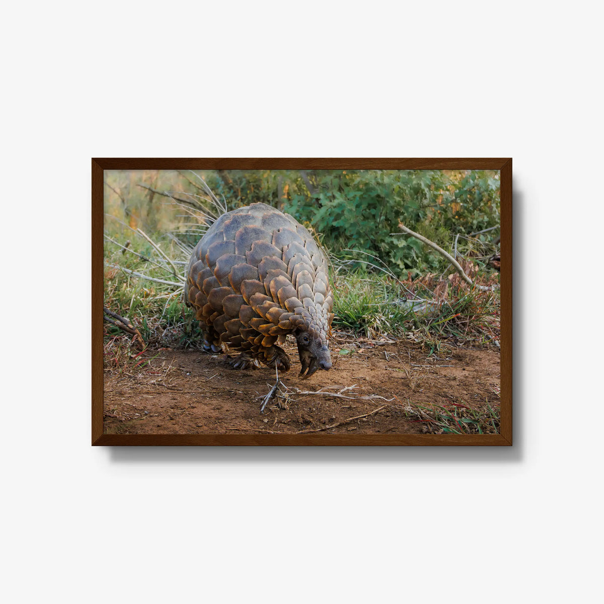 Relic — large / brown / full