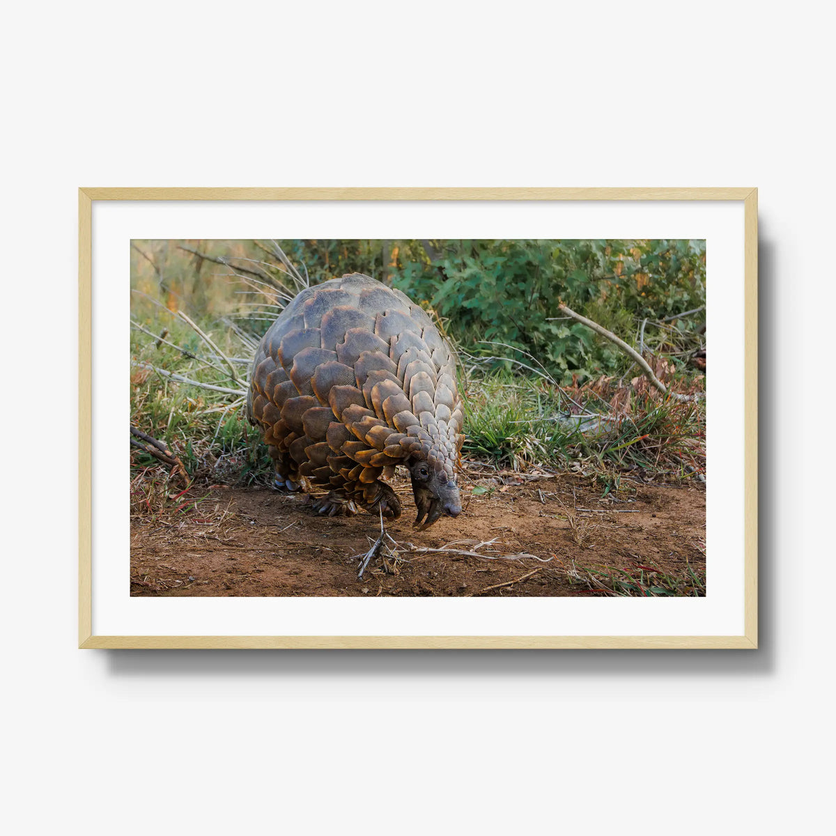 Relic — gallery / natural / mat