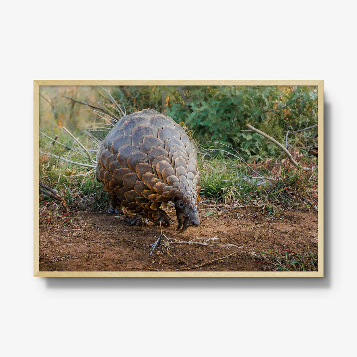 Relic — gallery / natural / full