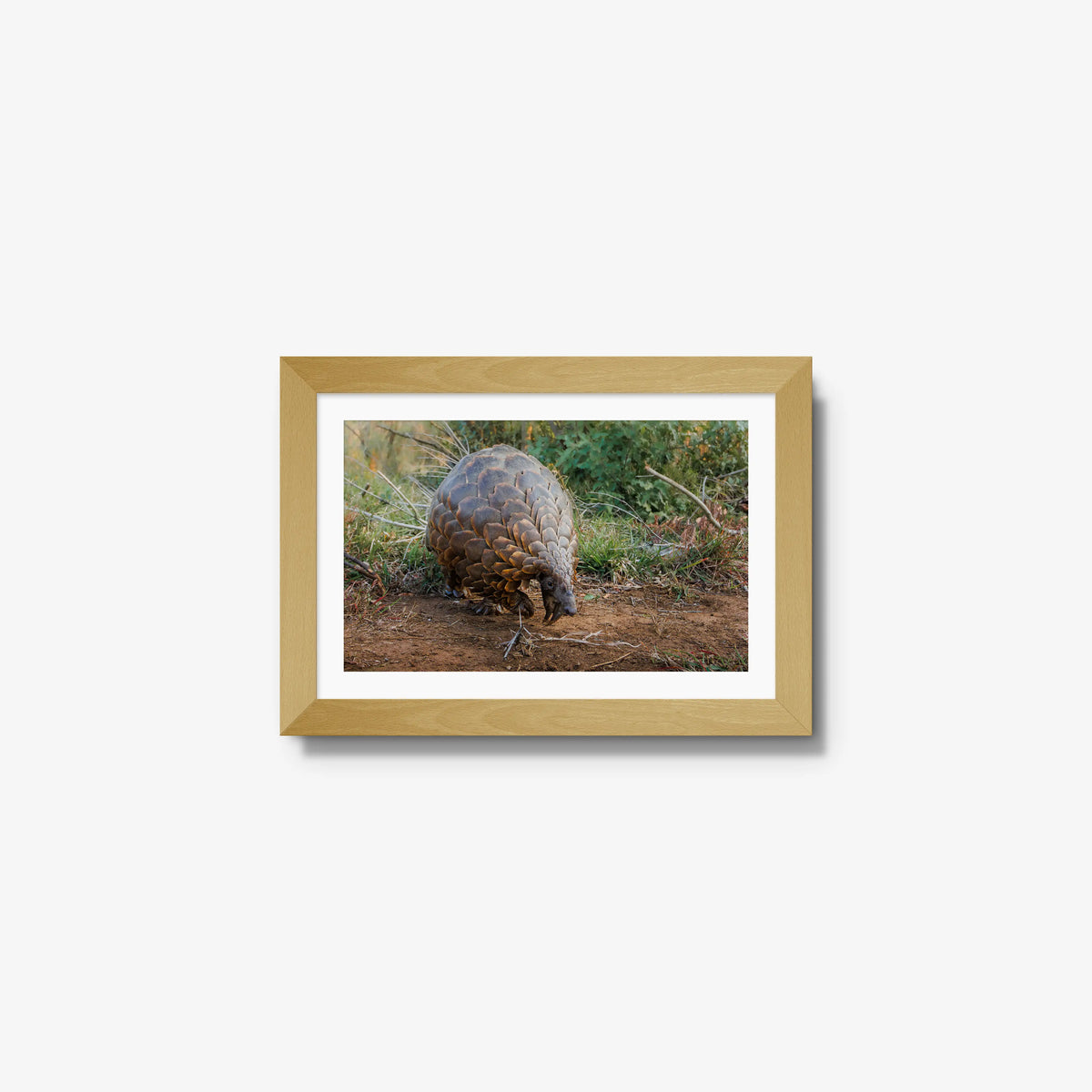Relic — mini / natural / mat