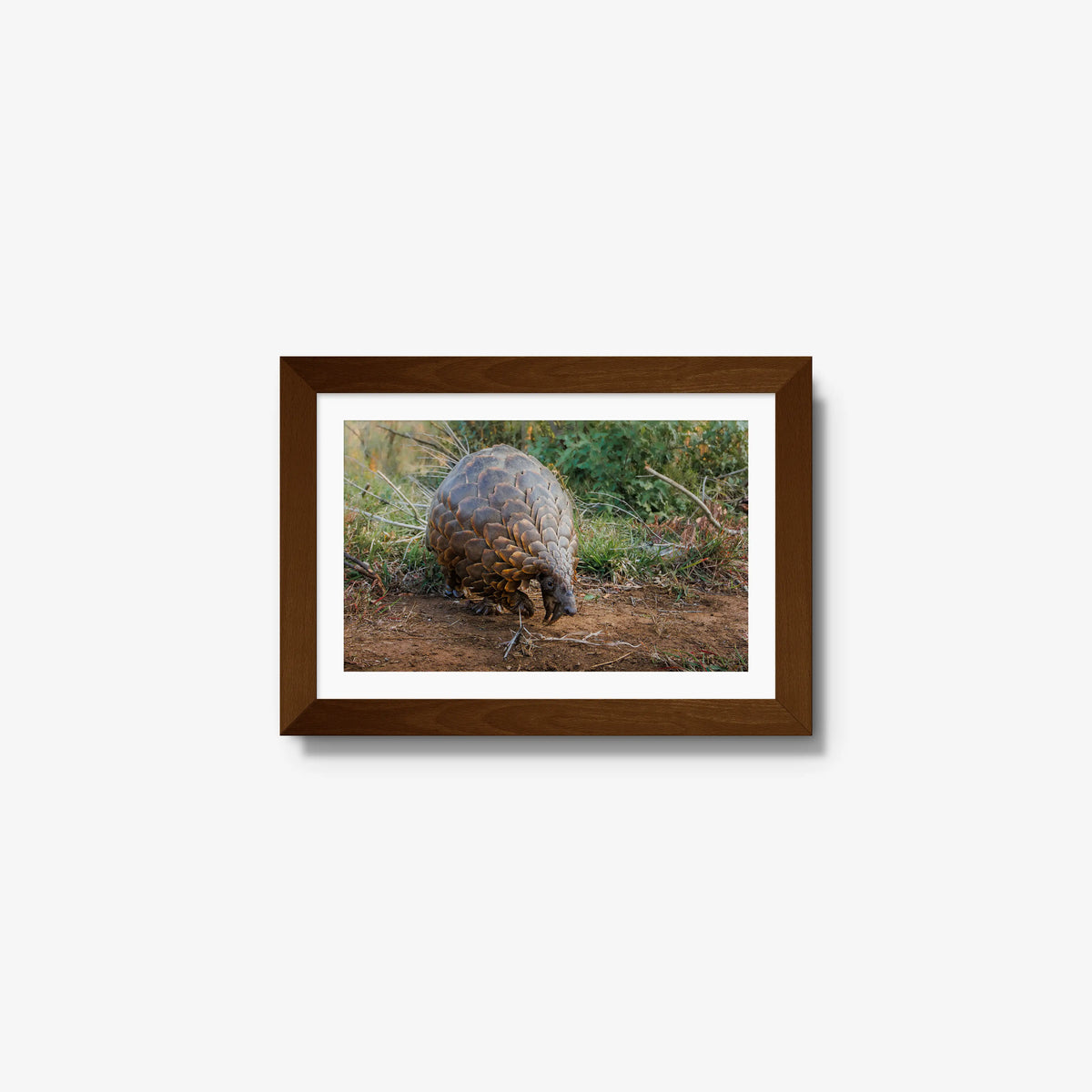 Relic — mini / brown / mat