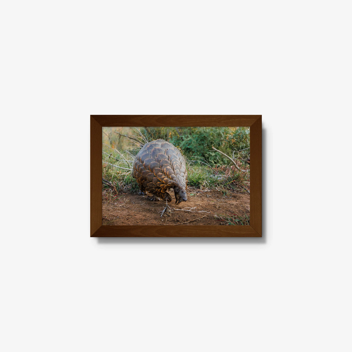 Relic — mini / brown / full