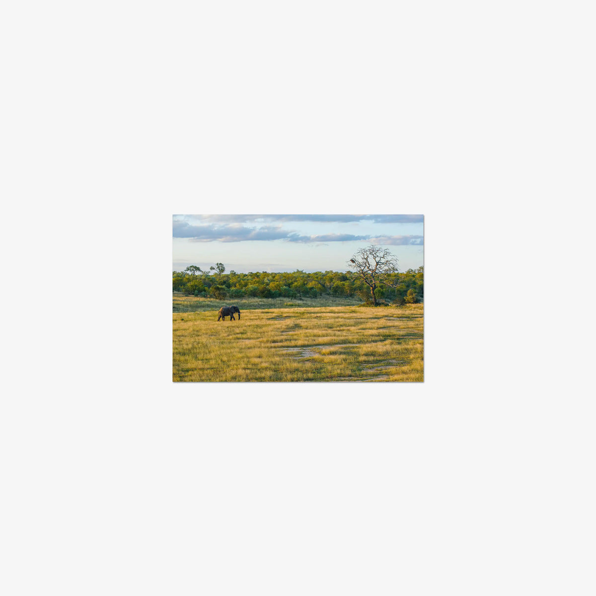 Right of Way — mini / print / n/a