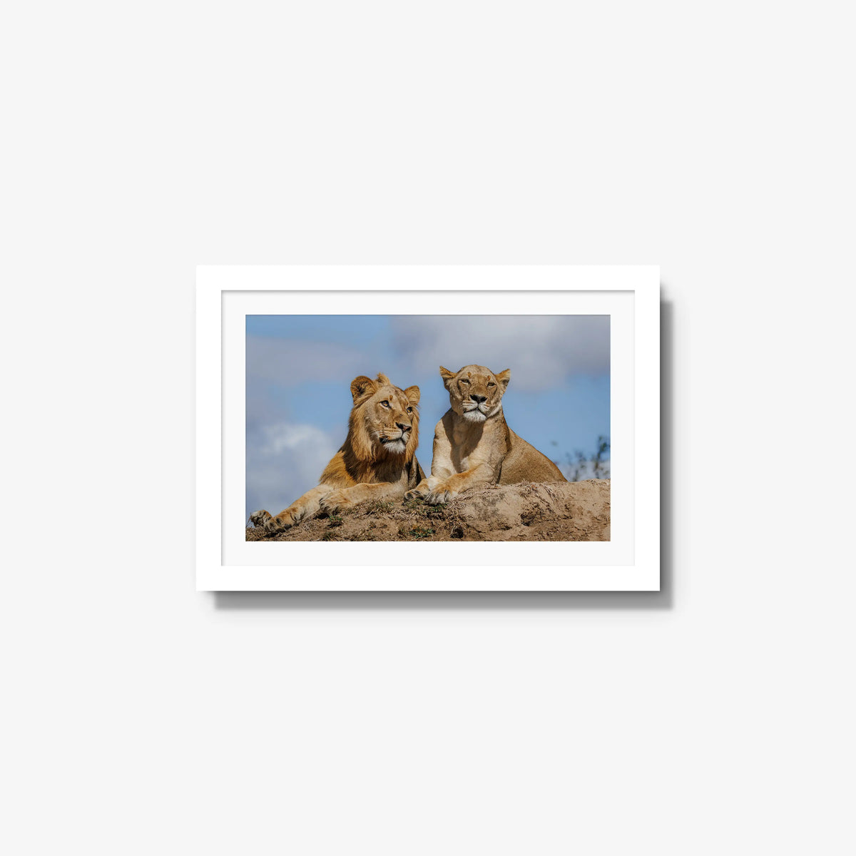 The River Pride — small / white / mat