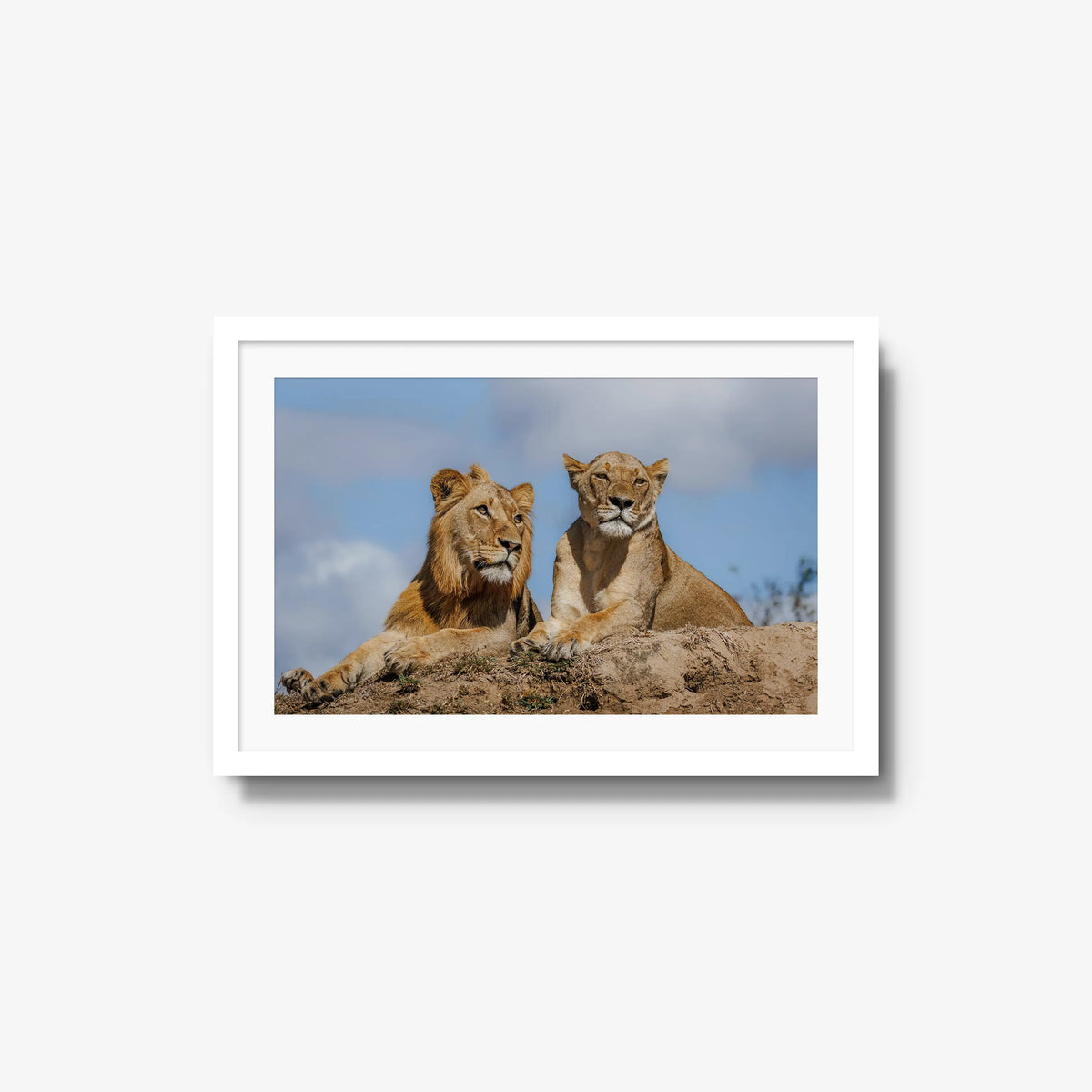The River Pride — medium / white / mat