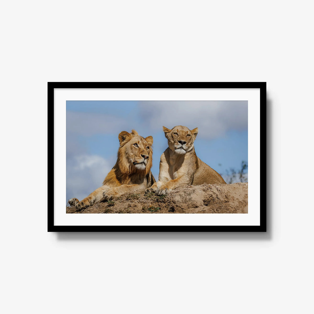 The River Pride — large / black / mat