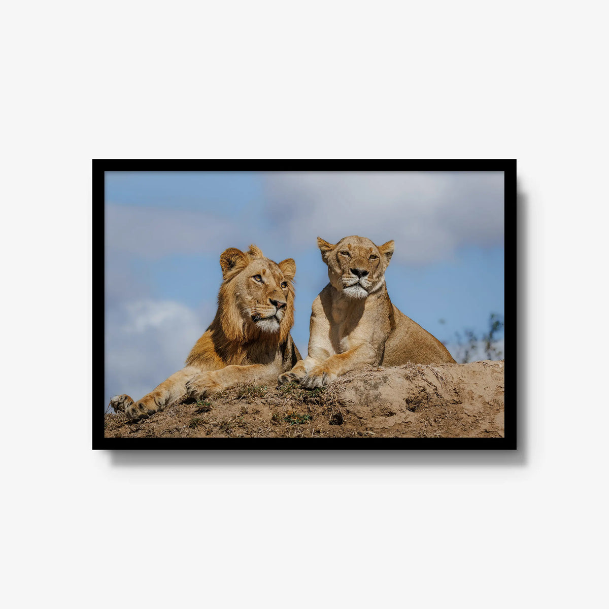The River Pride — large / black / full