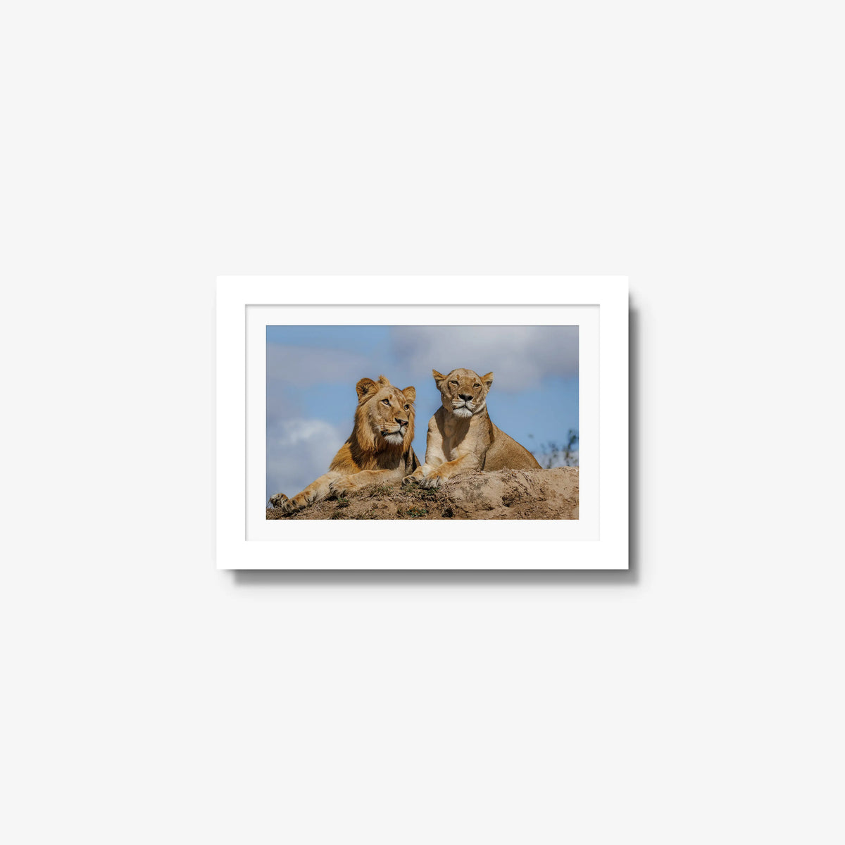 The River Pride — mini / white / mat
