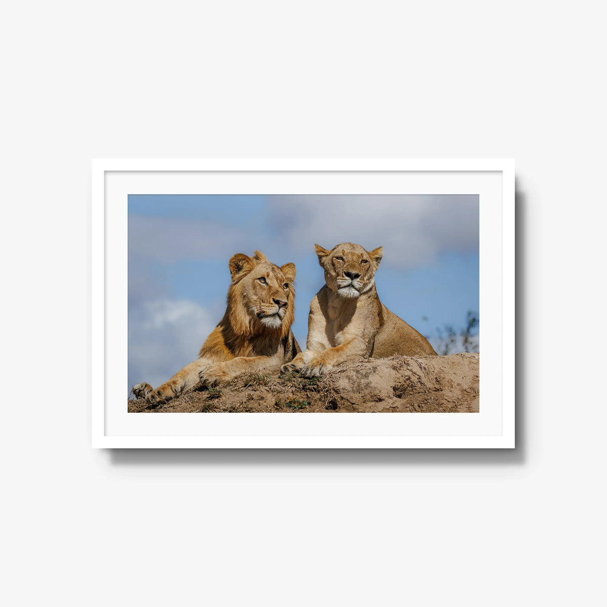The River Pride — large / white / mat