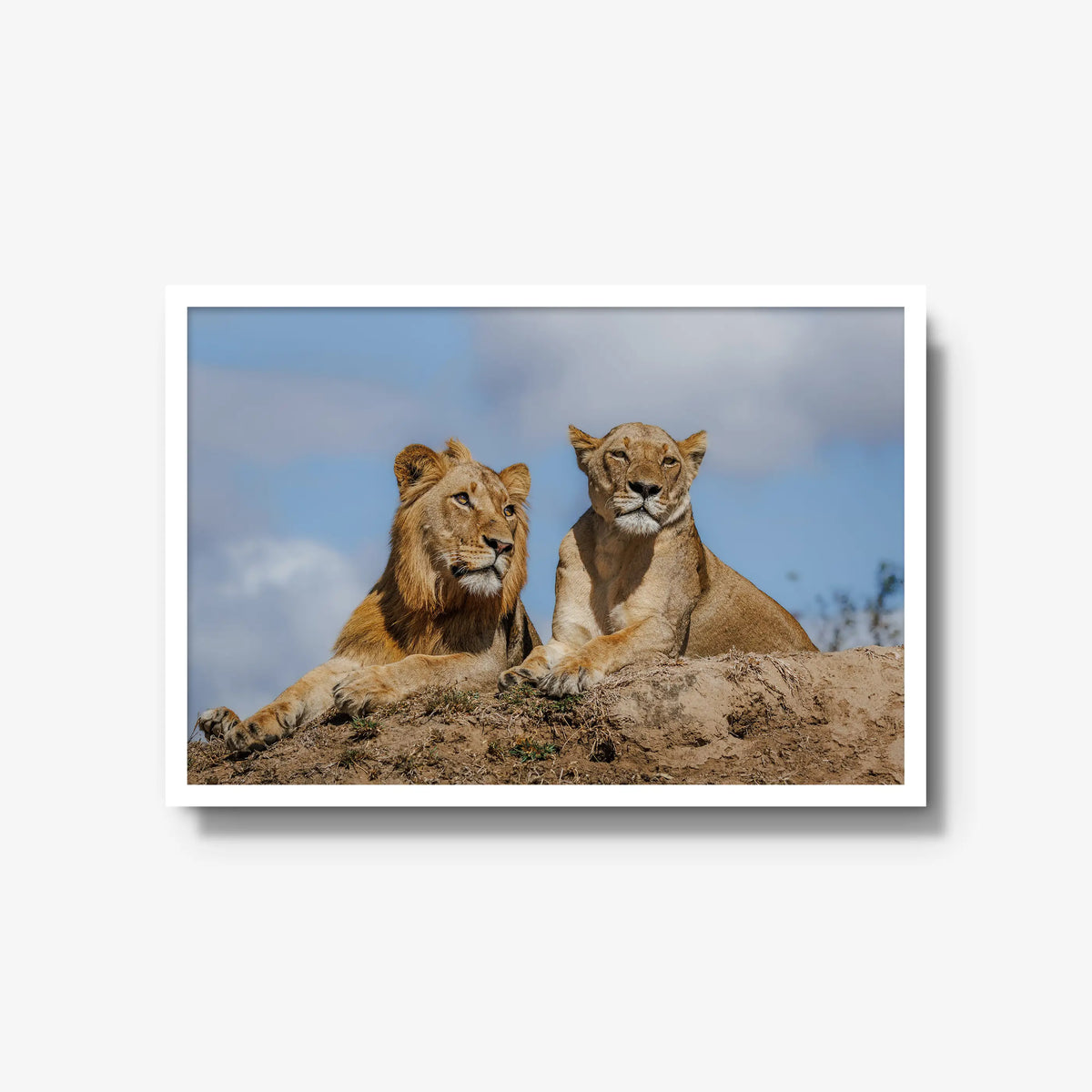 The River Pride — large / white / full