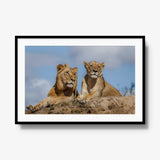 The River Pride — gallery / black / mat