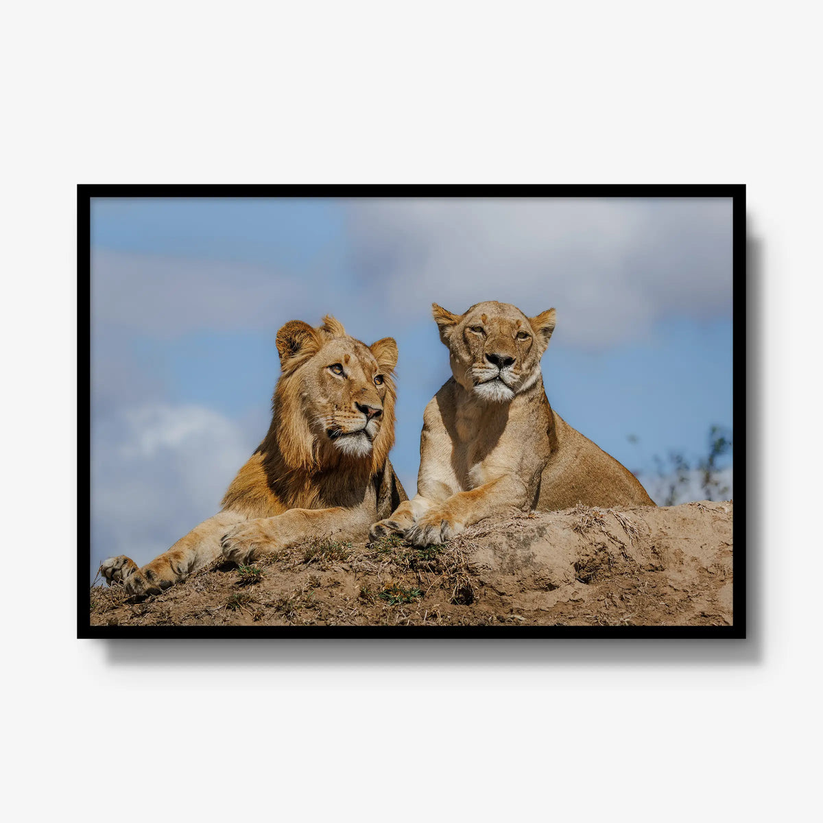 The River Pride — gallery / black / full