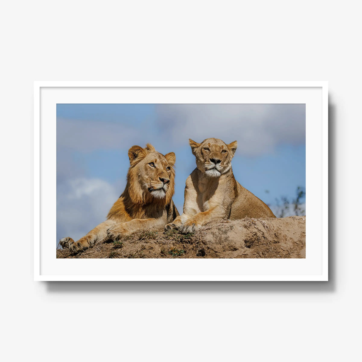The River Pride — gallery / white / mat