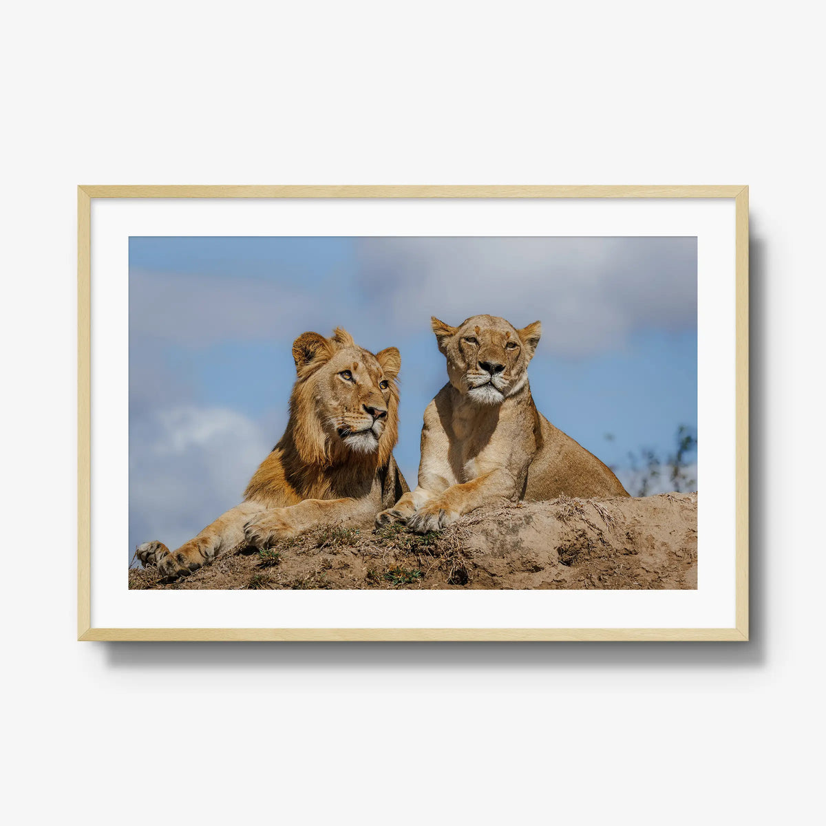 The River Pride — gallery / natural / mat
