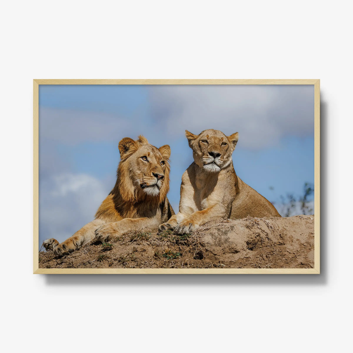 The River Pride — gallery / natural / full