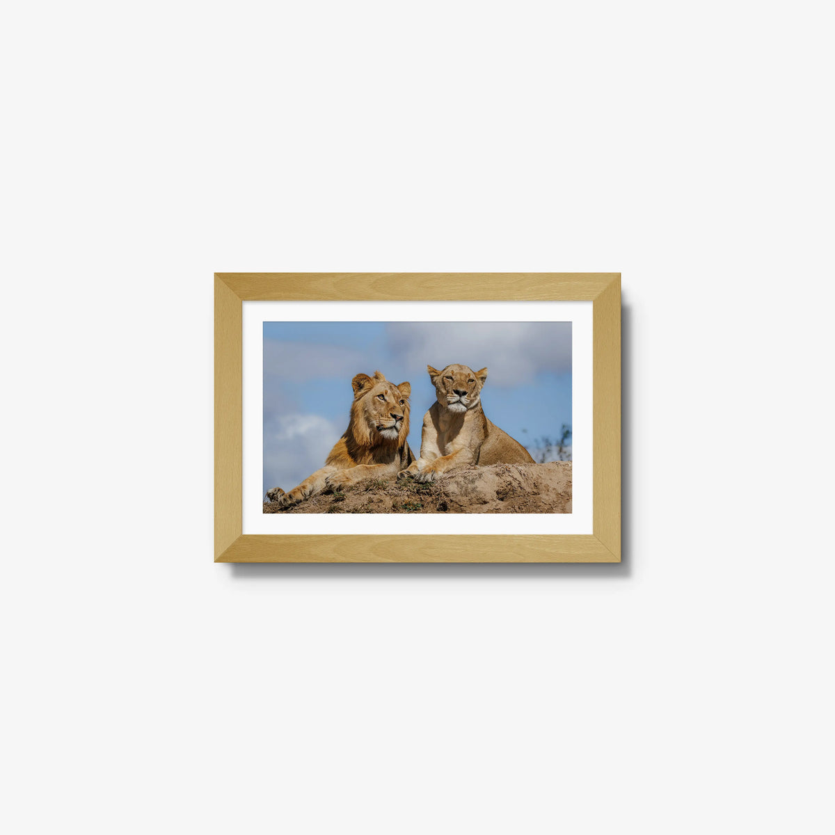 The River Pride — mini / natural / mat