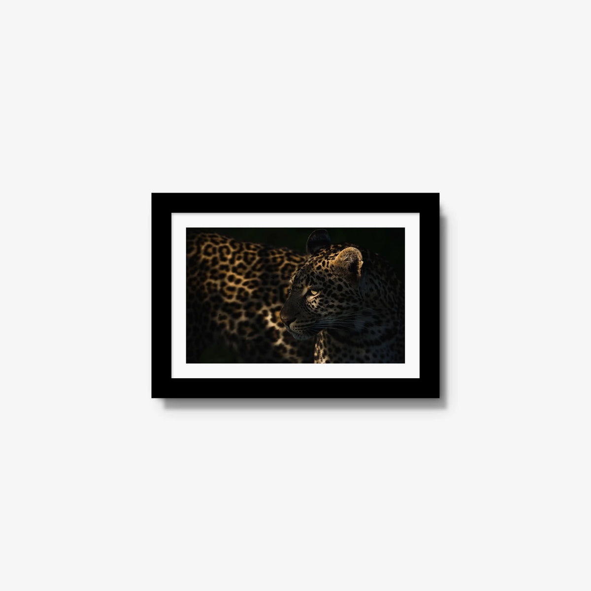 Side Light — mini / black / mat