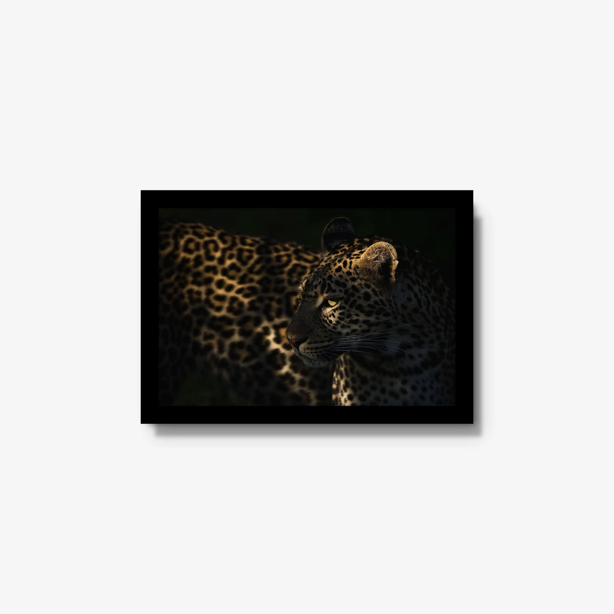 Side Light — small / black / full