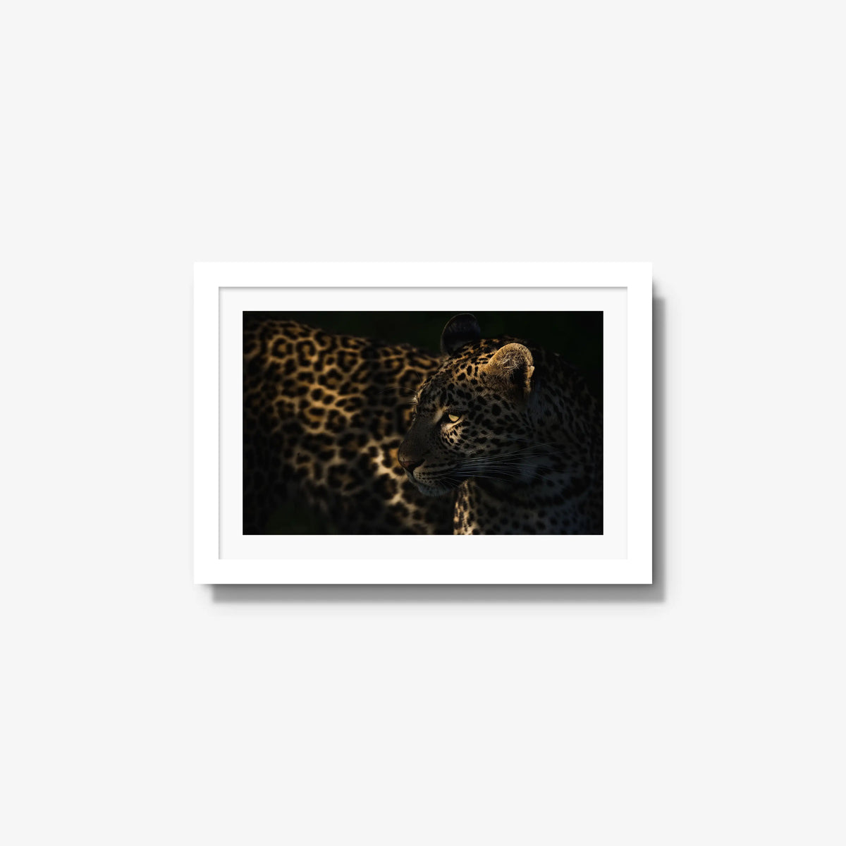 Side Light — small / white / mat