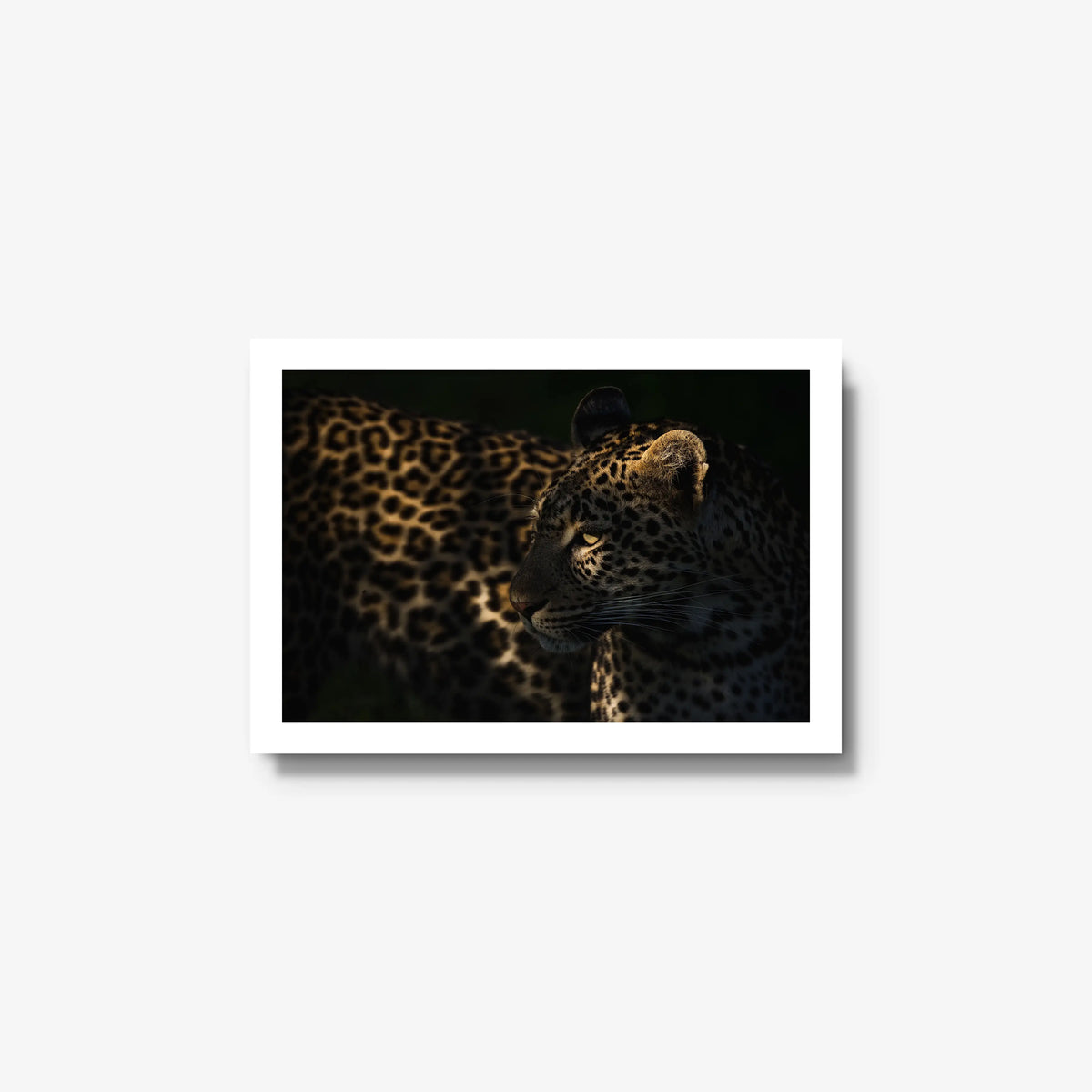 Side Light — small / white / full