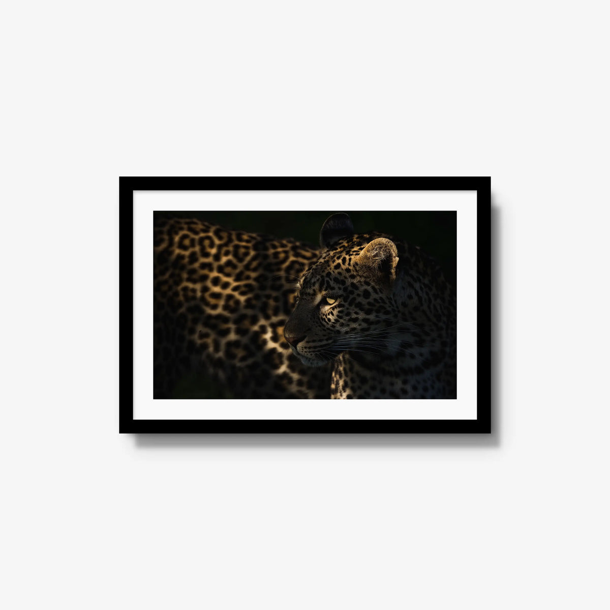 Side Light — medium / black / mat
