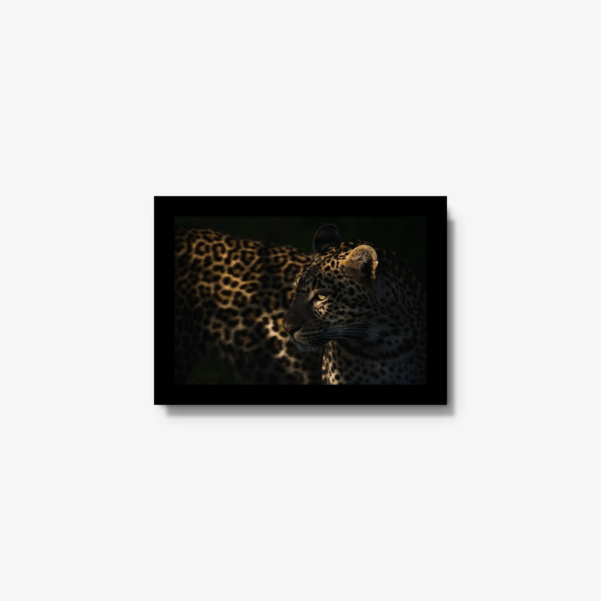 Side Light — mini / black / full