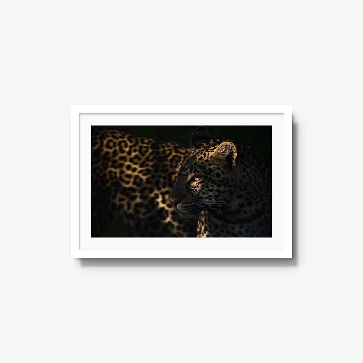 Side Light — medium / white / mat