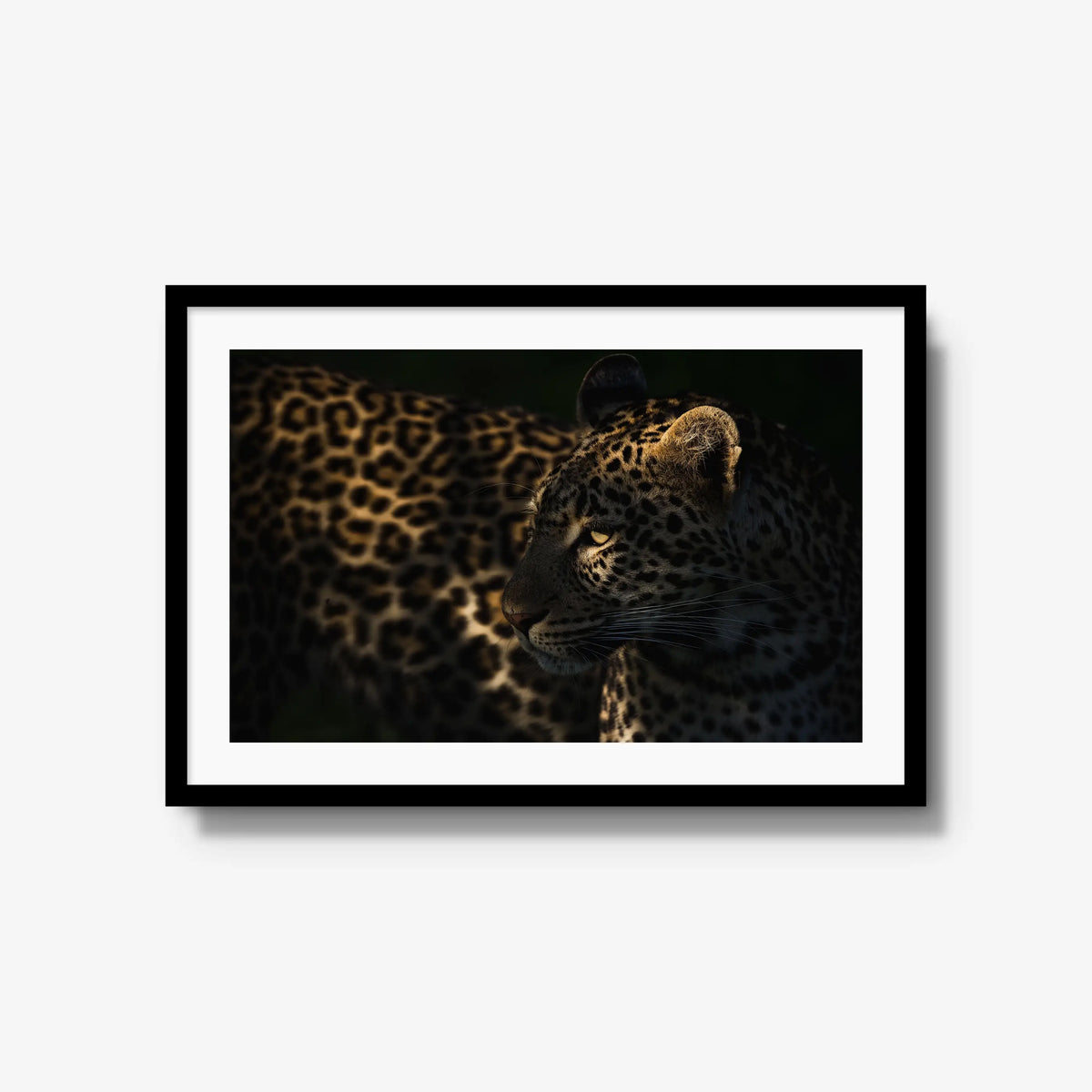 Side Light — large / black / mat