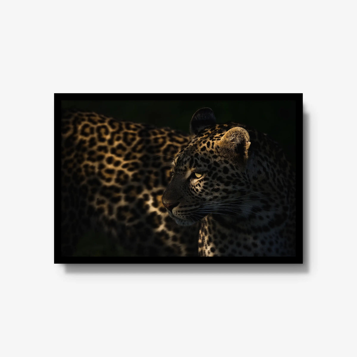 Side Light — large / black / full