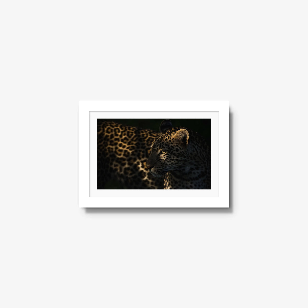 Side Light — mini / white / mat