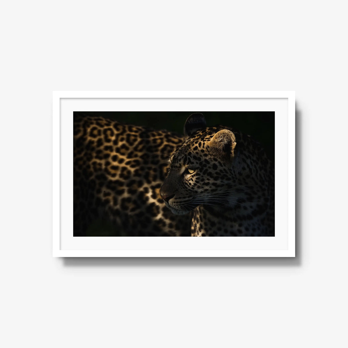 Side Light — large / white / mat