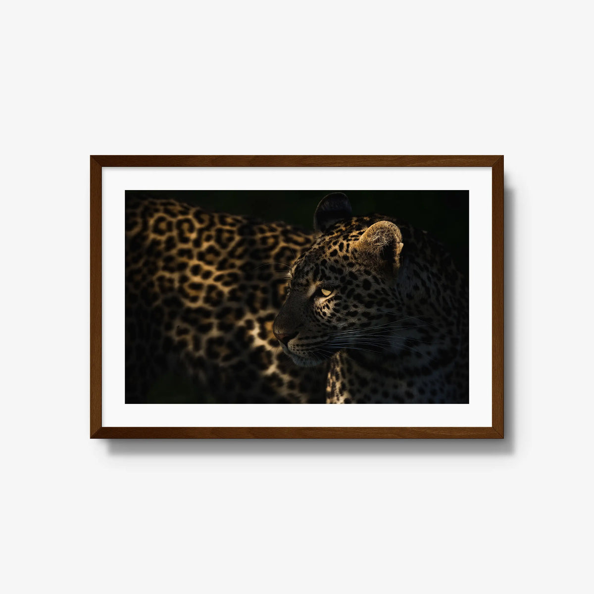 Side Light — large / brown / mat