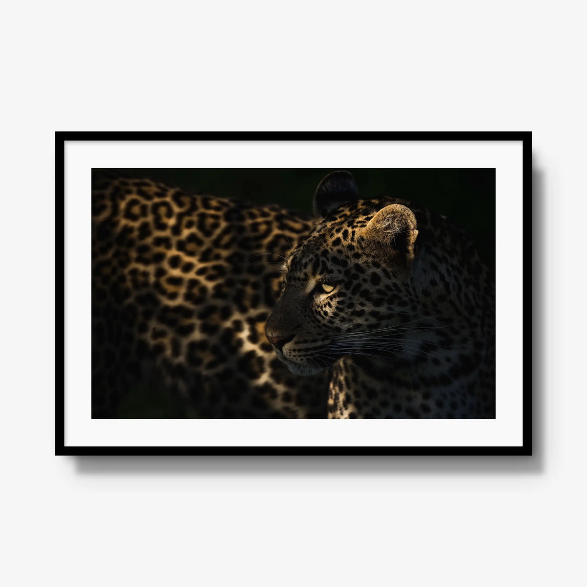 Side Light — gallery / black / mat