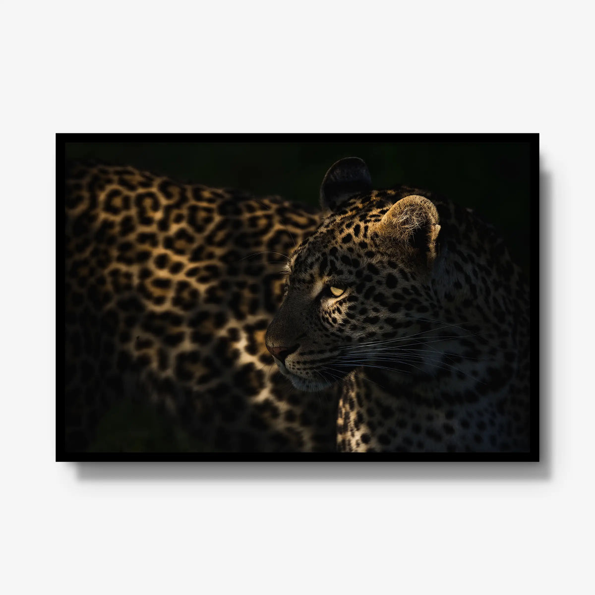 Side Light — gallery / black / full