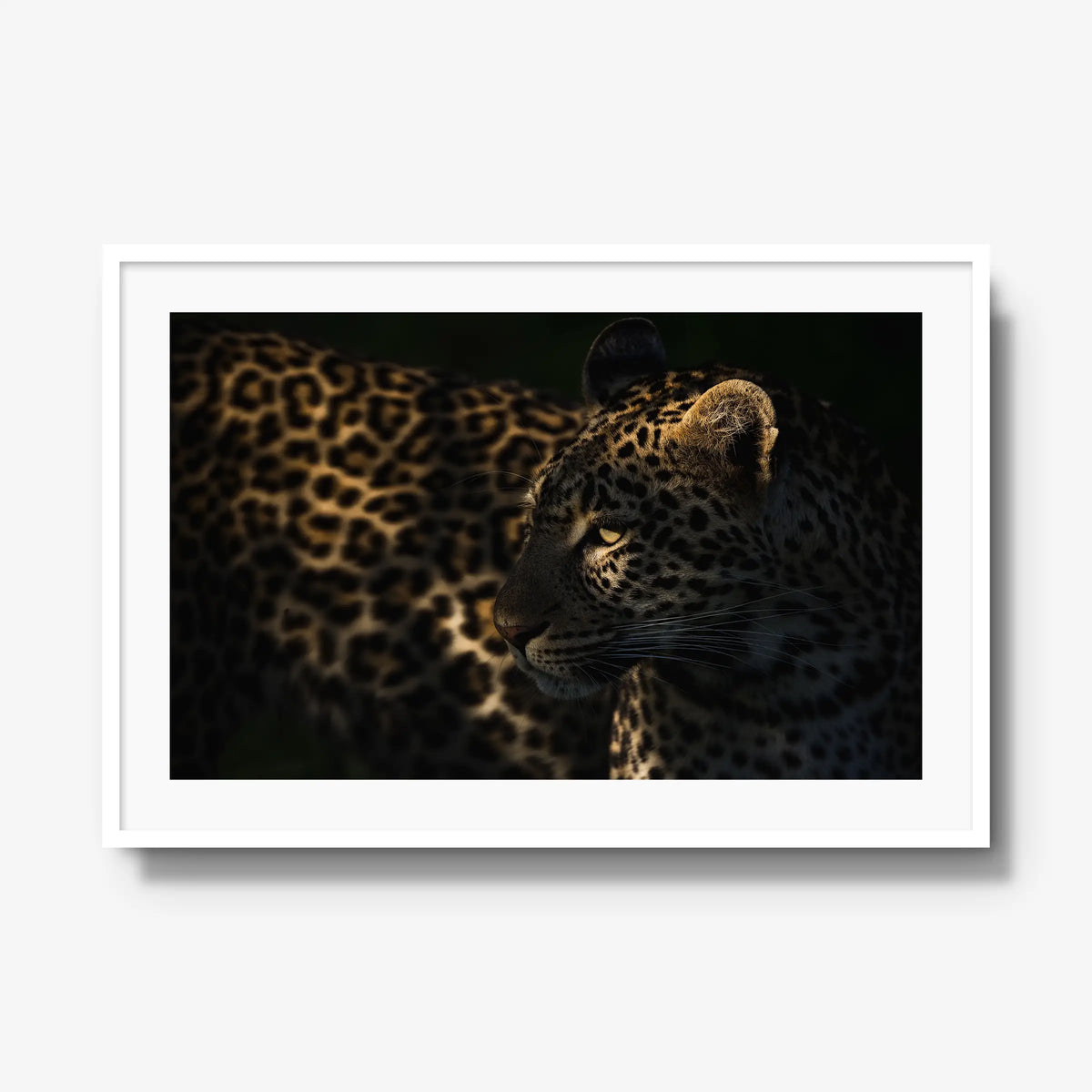 Side Light — gallery / white / mat