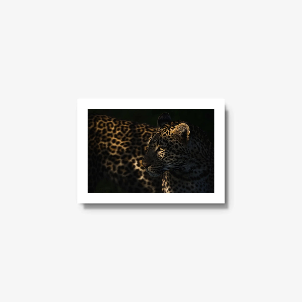 Side Light — mini / white / full