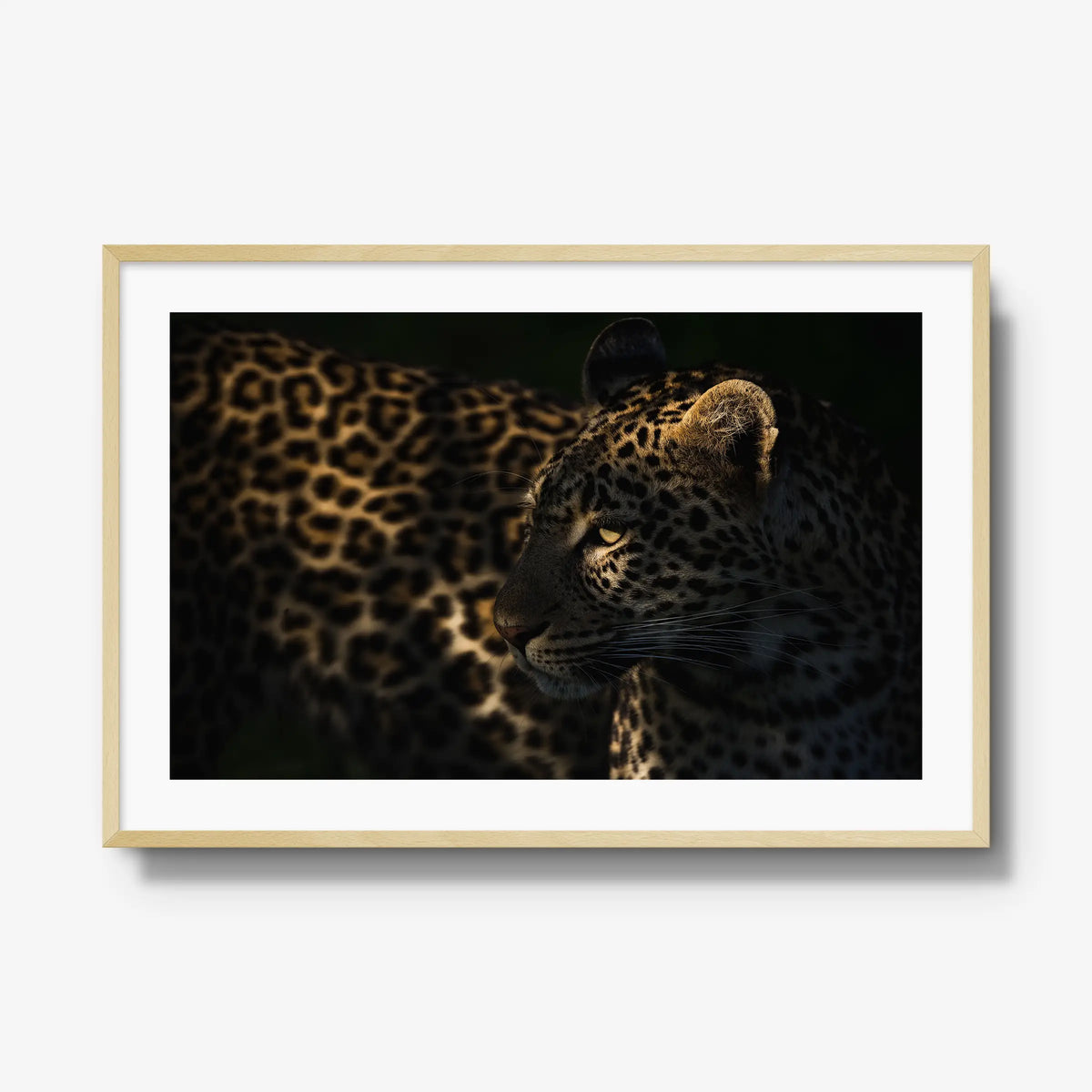 Side Light — gallery / natural / mat