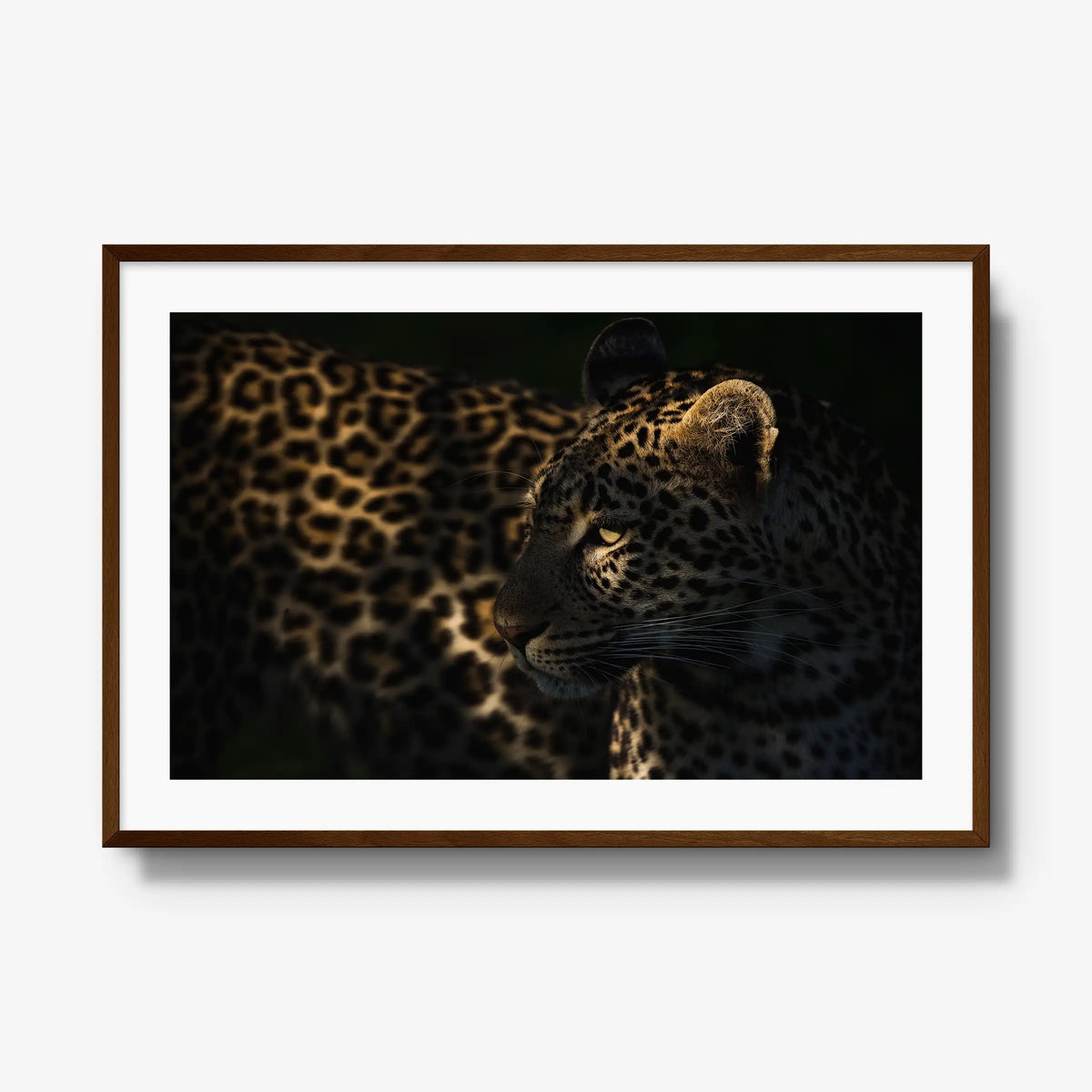 Side Light — gallery / brown / mat
