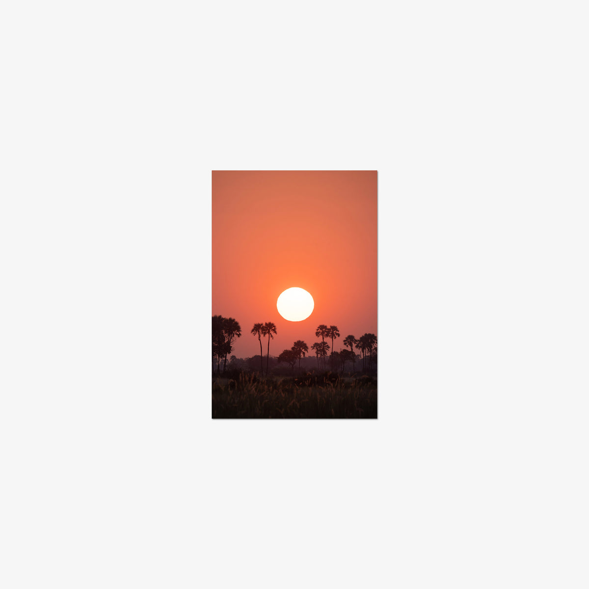 Slow Burn