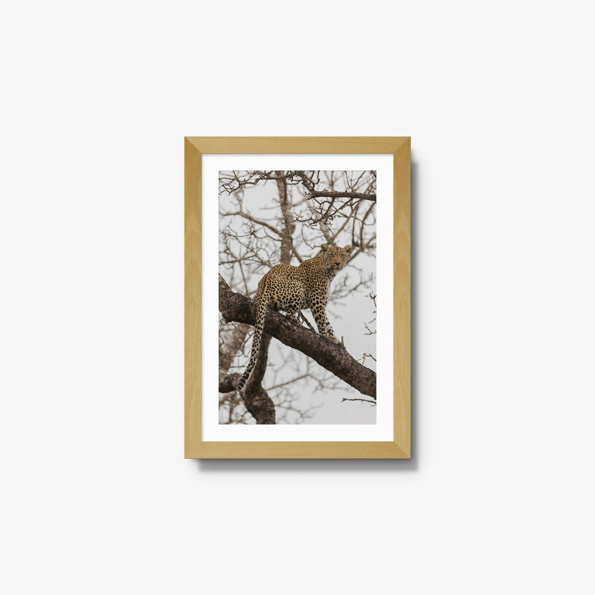 Steady — small / natural / mat