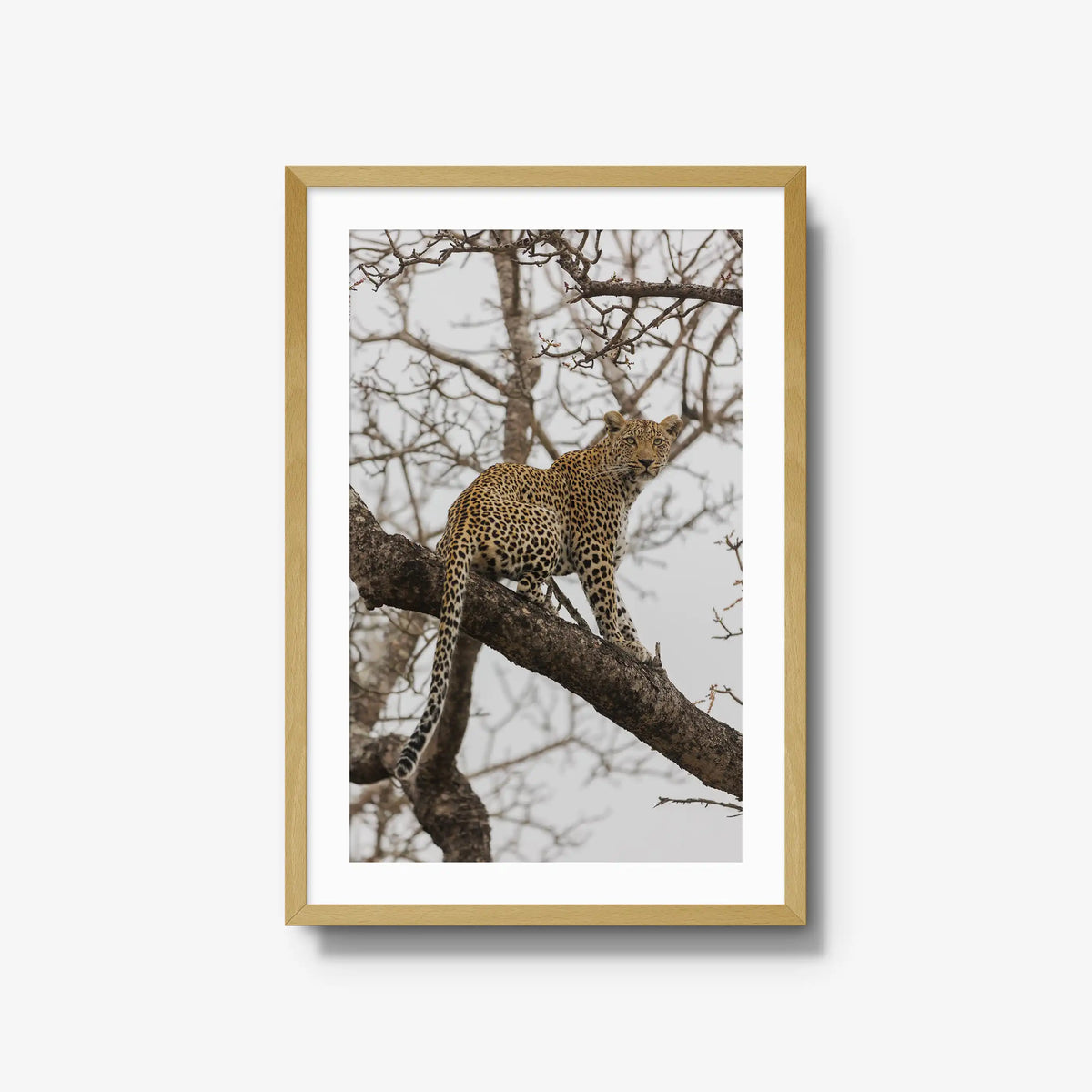 Steady — large / natural / mat