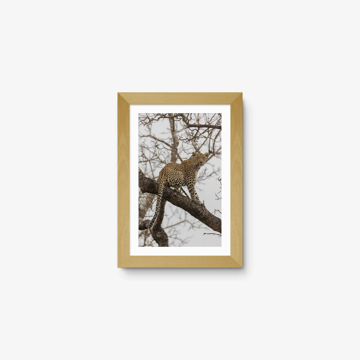 Steady — mini / natural / mat