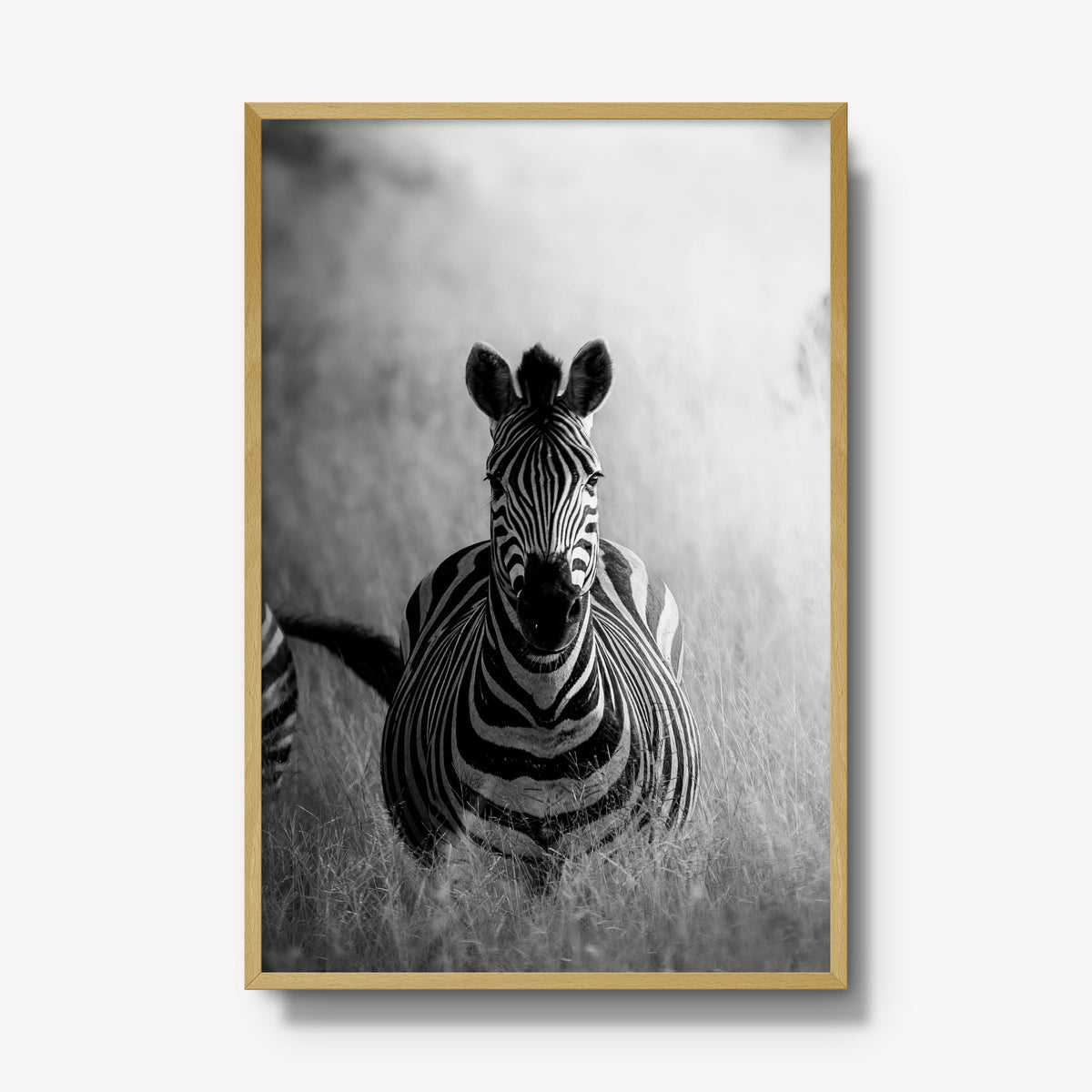 Stripes II — gallery / natural / full