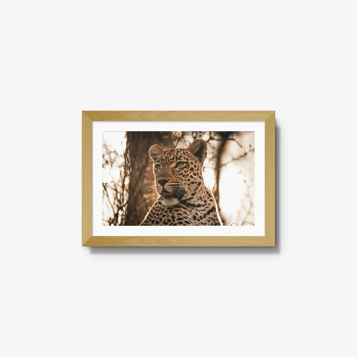 The Golden Watch — small / natural / mat
