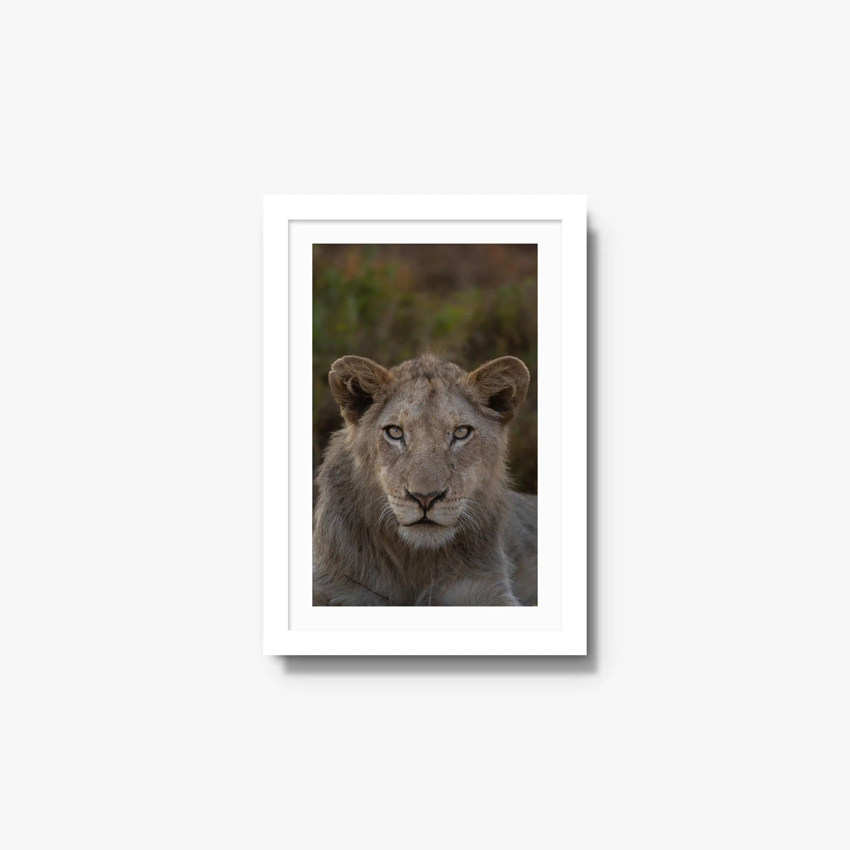 The Apprentice — small / white / mat
