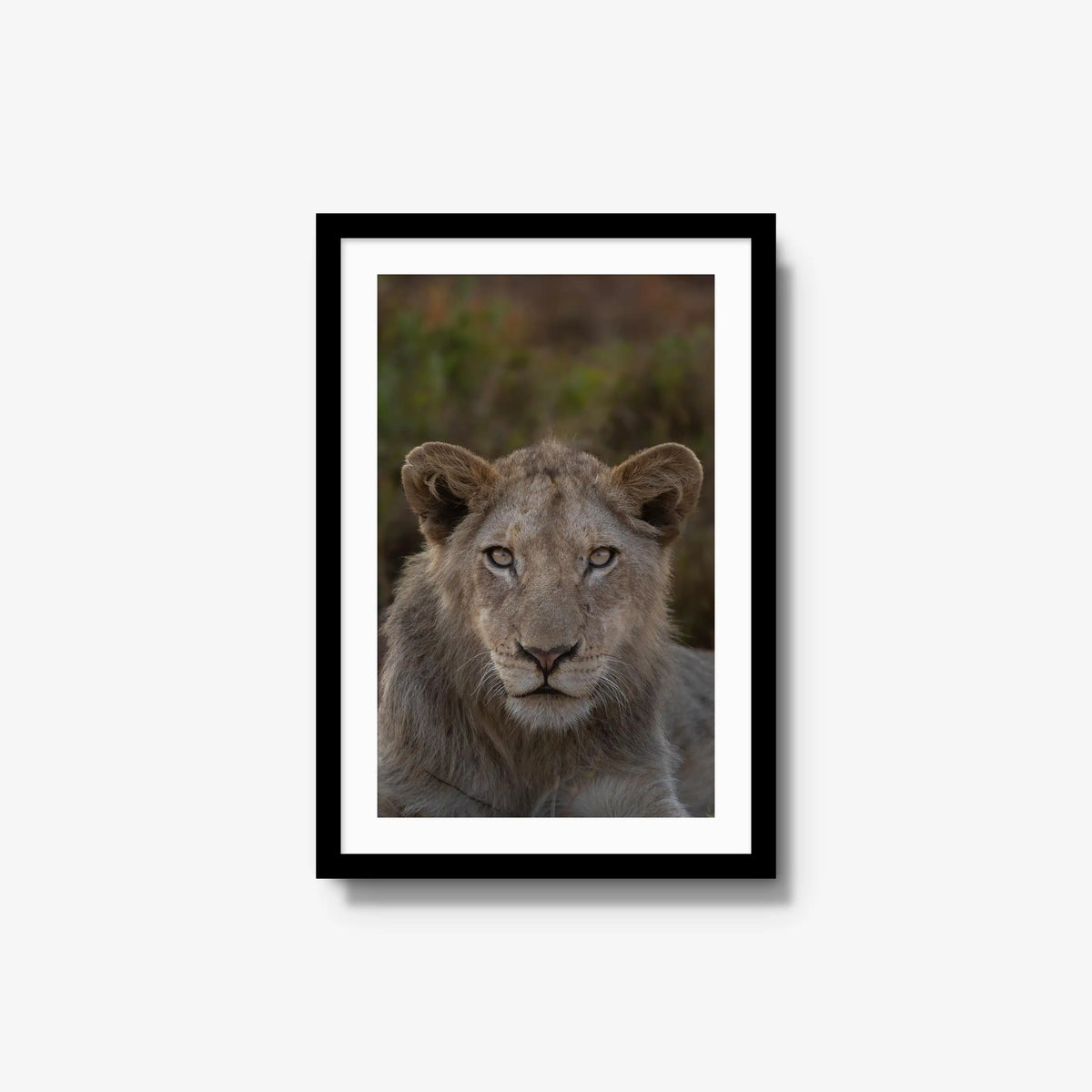 The Apprentice — medium / black / mat